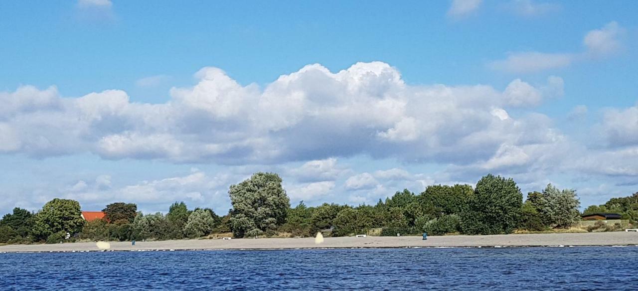 Zum Lachsfischer Schaprode Exteriör bild